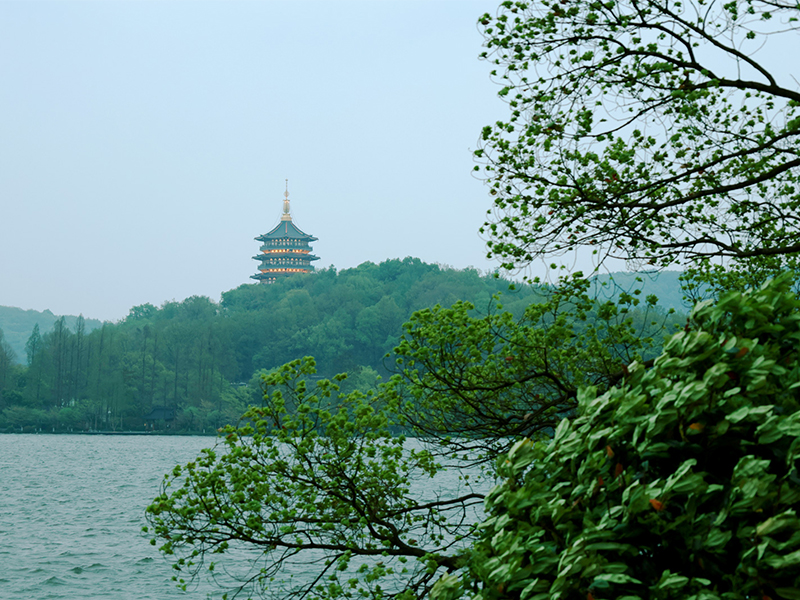 人文杭州，父母們來了！河南礦山第十三屆孝文化感恩旅游節(jié)第三站